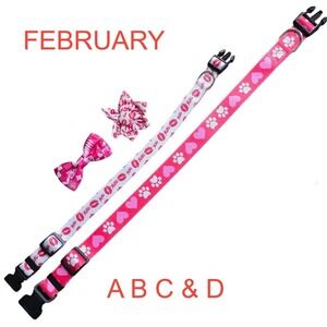 February 14th Valentine's Day XOXO Love collar bow flower create your own set